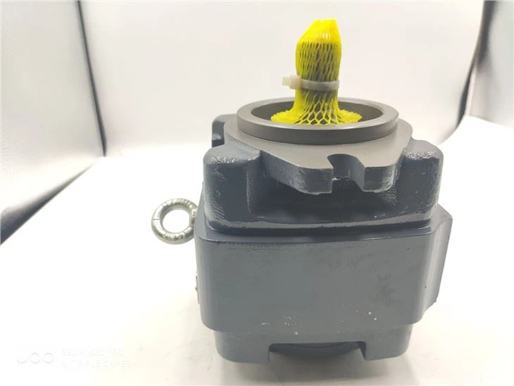 Rexroth Gear Pump PGM PGM4 PGM4-4X Series Oil Pump PGM4-4X/025RA11VU2 Internal Hydraulic Pump