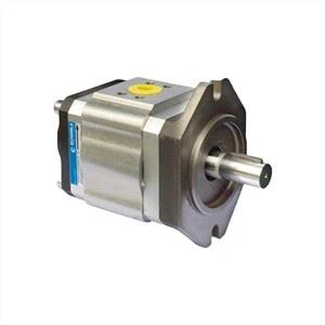 ECKERLE Servo tishli nasos EIPC6-125RA23-11 EIP EIPC EIPC6 seriyali motorli nasos Yuqori bosimli yog 'nasosi