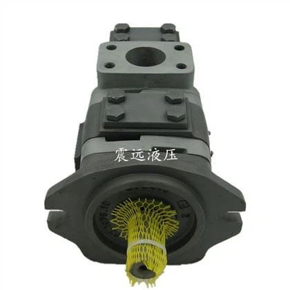 IPV 3/IPV 4/IPV 5/IPV 6/IPVP3/IPVP4/IPVP5/IPVP6/IPVP7/IPVPS5/IPVPS6 gidravlik nasos IPVP6-125-101 Tishli servo nasos